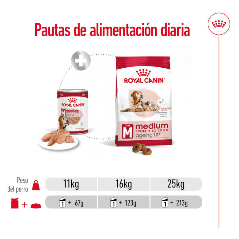 Royal Canin Medium 7+ Ageing lata para perros, , large image number null